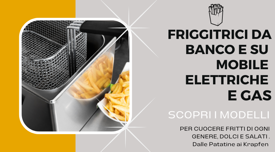 friggitrice professionale